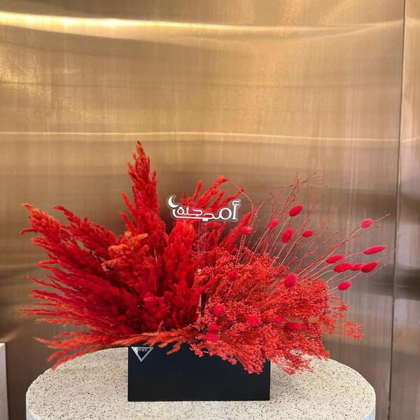 9f24d9ac_WhatsApp Image 2026-04-01 at 4.06.10 PM.jpeg